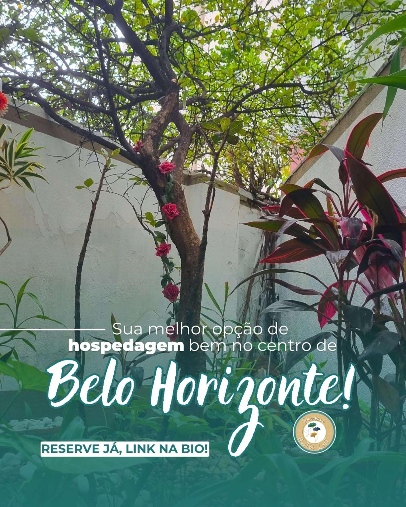 Savassi Hostel Belo Horizonte Exteriér fotografie